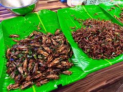 -席娜卡琳火车铁道夜市