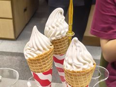 -渌洋湖湿地公园