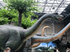 -国家自然博物馆