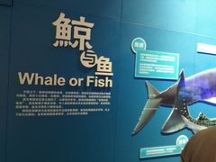 -青岛海底世界-水族馆