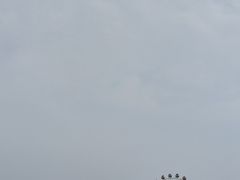 -白洋淀风景区