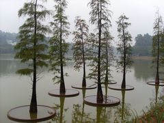 -南国桃园旅游度假区