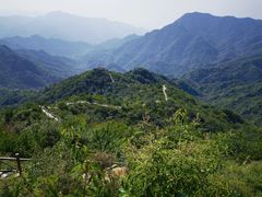 -大岭沟猕猴桃谷风景区