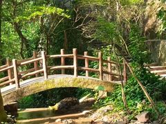-火炉山森林公园