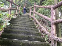 -缙云山景区
