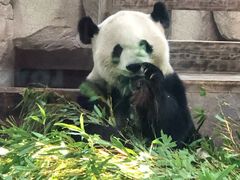 -无锡动物园·太湖欢乐园