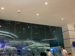 -帝企鹅自助餐厅•儿童岛•真企鹅(长隆企鹅酒店)