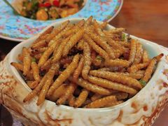 -慢丽江·云南野生菌土鸡锅(付家庄店)