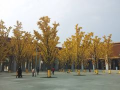 -法门文化景区