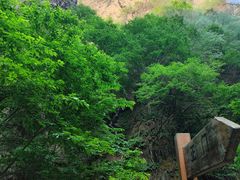 -野三坡百里峡景区