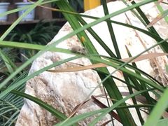 -陈熹公民族美食文化餐厅(中华广场店)