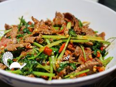 -壹盏灯(惠农店)