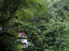 -青峰峡国家森林公园