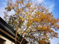 -莲湖公园