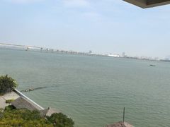 -大湾区中央湿地公园