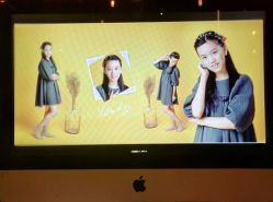 -COCOSKY 巧克力天空兒童摄影(凯德和平广场店)