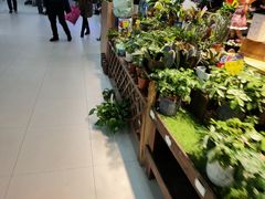 -欧亚超市(站前店)