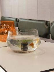 -水沐莲清瑜伽·普拉提