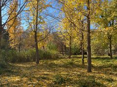 -国家植物园南园