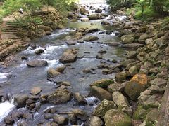 -广州市石门国家森林公园