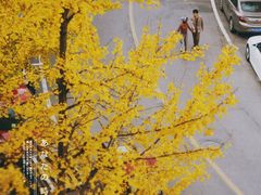 -经典婚纱摄影美学馆·私人定制