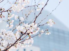 -江南大学(蠡湖校区)