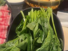 -捞王猪肚鸡火锅(财富中心店)
