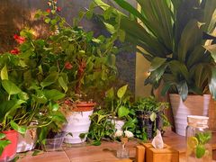 -云之南(八里庄店)