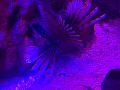 -沈阳海洋探索中心