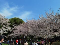 -堤角公园