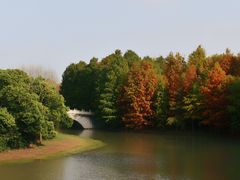 -上海海湾国家森林公园