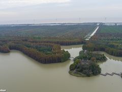 -上海海湾国家森林公园