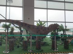 -郑州新郑国际机场