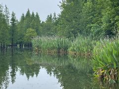 -白鹭湾湿地公园