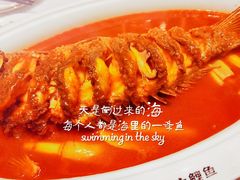 -阿五黄河大鲤鱼(海尚店)