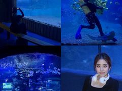 -左海海底世界