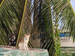 -三亚西岛海洋文化旅游区