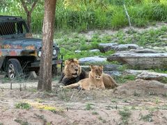 -北京野生动物园
