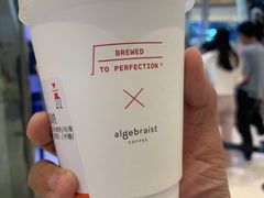 -代数学家algebraist(苏州中心店)