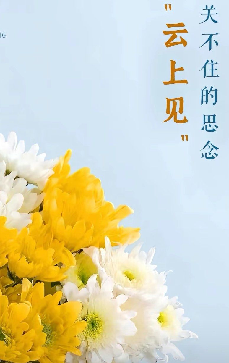 云短信下载安装到手机桌面 云短信下载安装到手机桌面