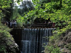 -大奇山国家森林公园