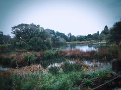 -墨尔本皇家植物园