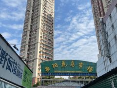 -曲阳花鸟市场(曲阳路店)