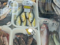 -梅子大排档