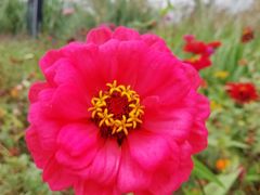 -白鹭湾湿地公园