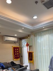 -碧莲盛·不剃发植发