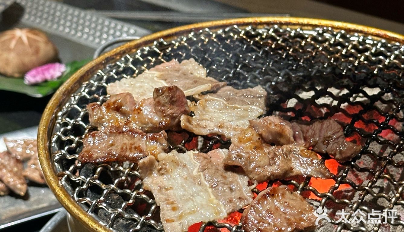 珠海肉食朋友的狂欢派对[礼花]