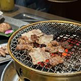 珠海肉食朋友的狂欢派对[礼花]