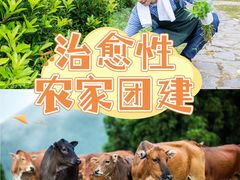 -途柚团建·拓展培训·年会策划