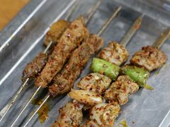 -福苗小骆驼烧烤(莲湖路店)